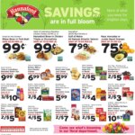 Hannaford Weekly Ad (04/05 – 04/11 2026) – Flyer