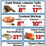 Save a Lot Special Promotion (04/12/2026 – 04/12/2027 2026) – Flyer