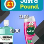 Poundland – Offers (from Tuesday 14/04/2026) – Offers Online