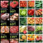 Oxford Freshmarket Tuesday Sale (14/04/2026 – 14/04/2026) Online