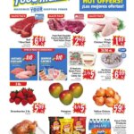 FoodMaxx Weekly Ad – NV (04/08 – 04/21 2026) – Flyer