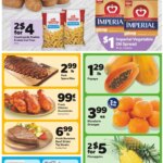 Save a Lot Weekly Ad (04/15 – 04/21 2026) – Flyer
