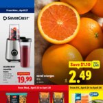 Lidl Weekly Ad (04/22 – 04/28 2026) – Flyer