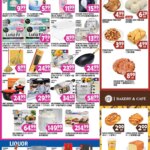 99 Ranch Market Wellness | Beauty | Personal Care | Houseware (04/17 – 04/23 2026) – Flyer