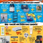 Big Lots Weekly Ad (04/16 – 04/22 2026) – Flyer