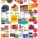Pick ‘n Save Weekly Ad (04/22 – 04/28 2026) – Flyer