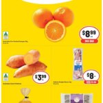 ﻿IGA catalogue valid from 24/04/2026 > Online Australia