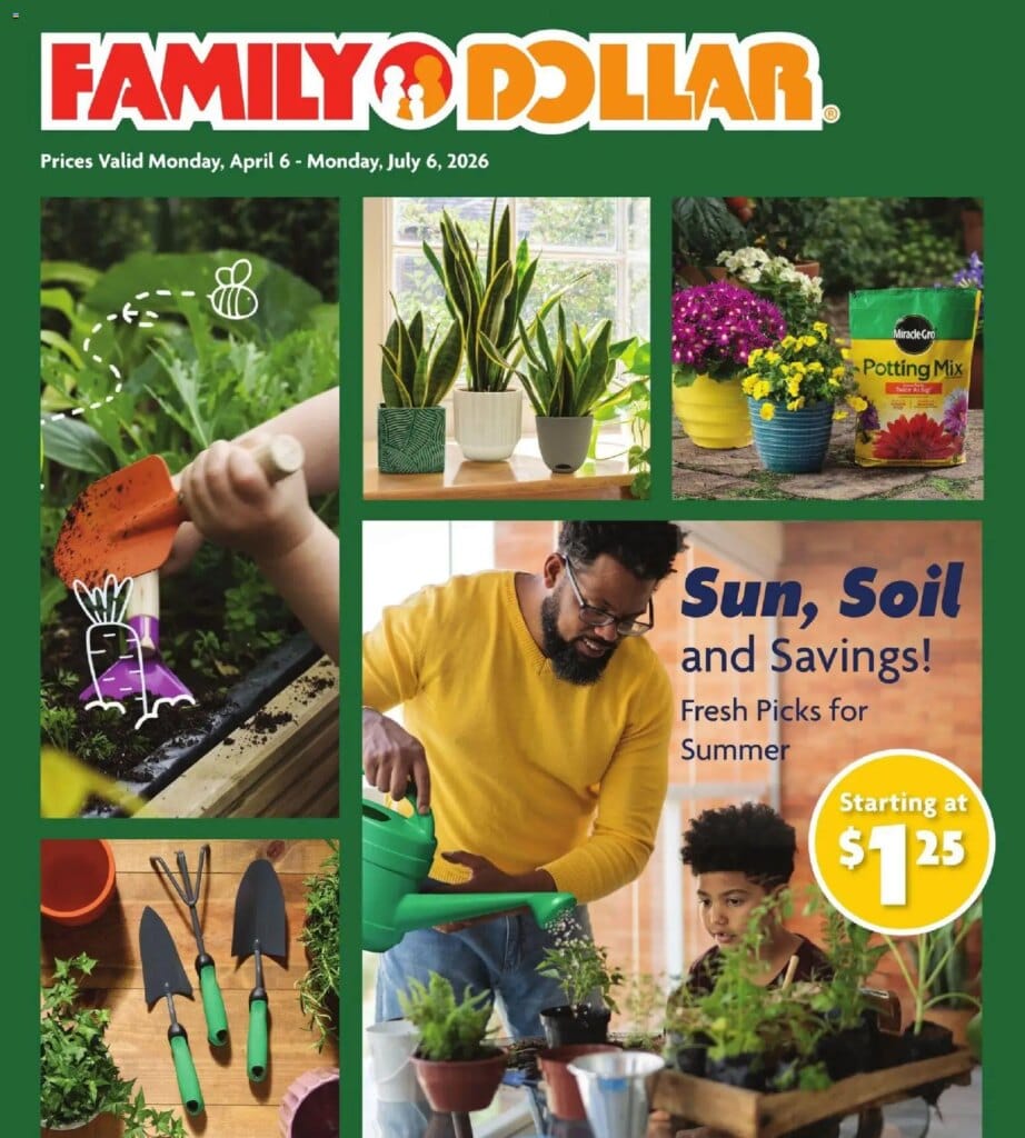 Family Dollar Spring/Summer Book Offers This Week April 29 to May 5 2026