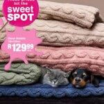 Get Ready for MRP Home Sweet Spot Specials: 04 May 2026 Deals This Week!