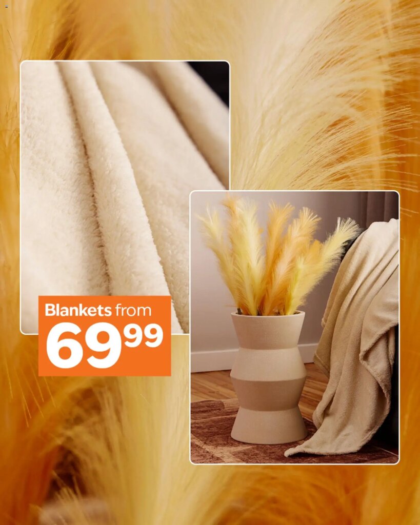 Amazing Savings: Sheet Street New Decor Specials Starting 6 May 2026!