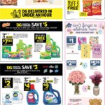 Dollar General Weekly Ad This Week: May 10 to May 16 2026 Specials Await!
