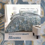Winter Beauty Blooms at Volpes: Special This Week from 11 May 2026!