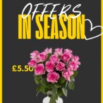Sainsbury’s – Weekly Offers: Unmissable Deals Starting 12 May 2026!