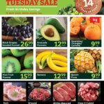 Exciting Deals at Oxford Freshmarket Tuesday Sale on 19 May 2026!