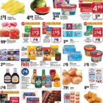 Big Y Weekly Ad This Week May 21 to May 27 2026 – Amazing Savings Inside!