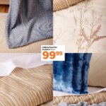 Unmissable Sheet Street Scatters Specials from 19 May 2026 This Week!