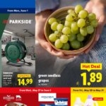 Lidl Weekly Ad This Week – Unbeatable Offers May 27 to June 2 2026
