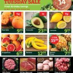 Don’t Miss the Oxford Freshmarket Tuesday Sale – 26 May 2026 Specials!