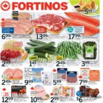Unmissable Fortinos weekly flyer – Brampton Specials This Week 21 May 2026