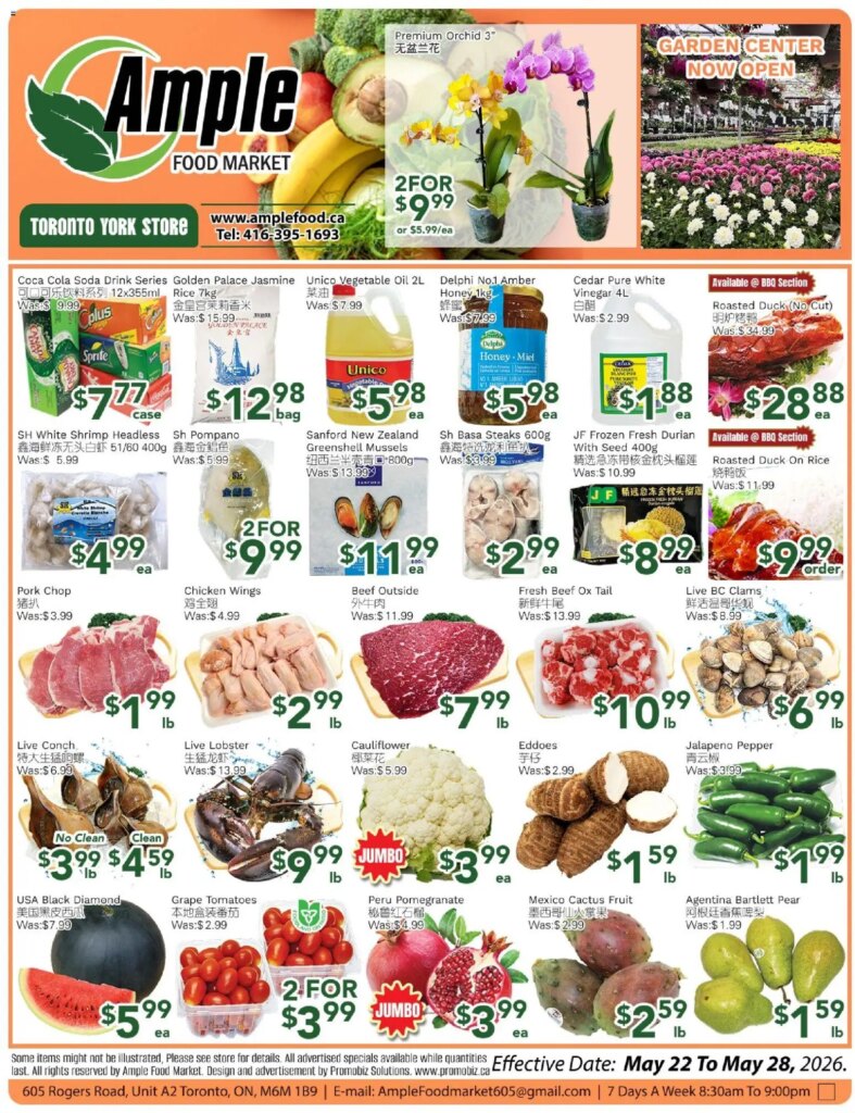 Massive Savings at Ample Food Market Weekly Flyer – 22 May 2026 Specials This Week!