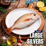 Take n Pay Fresh Seafood Specials This Week: 27 May 2026 Deals Await!