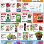 Rural King Weekly Ad This Week: Amazing Deals May 28 to June 10 2026
