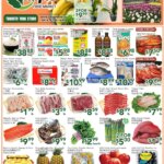 Unmissable Ample Food Market Specials This Week from 29 May 2026 in York!