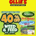 Ollie’s Weekly Ads This Week: Unbeatable Offers June 2 to June 2 2026
