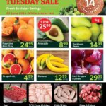 Stunning Specials at Oxford Freshmarket Tuesday Sale on 02 June 2026!