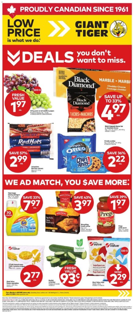 Giant Tiger weekly flyer: Special This Week – 3 June 2026 Deals Unveiled!