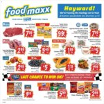 FoodMaxx Weekly Ad This Week: Incredible Deals June 3 to June 16 2026