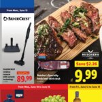 Lidl Weekly Ad This Week: Unmissable Deals June 10 to June 16 2026