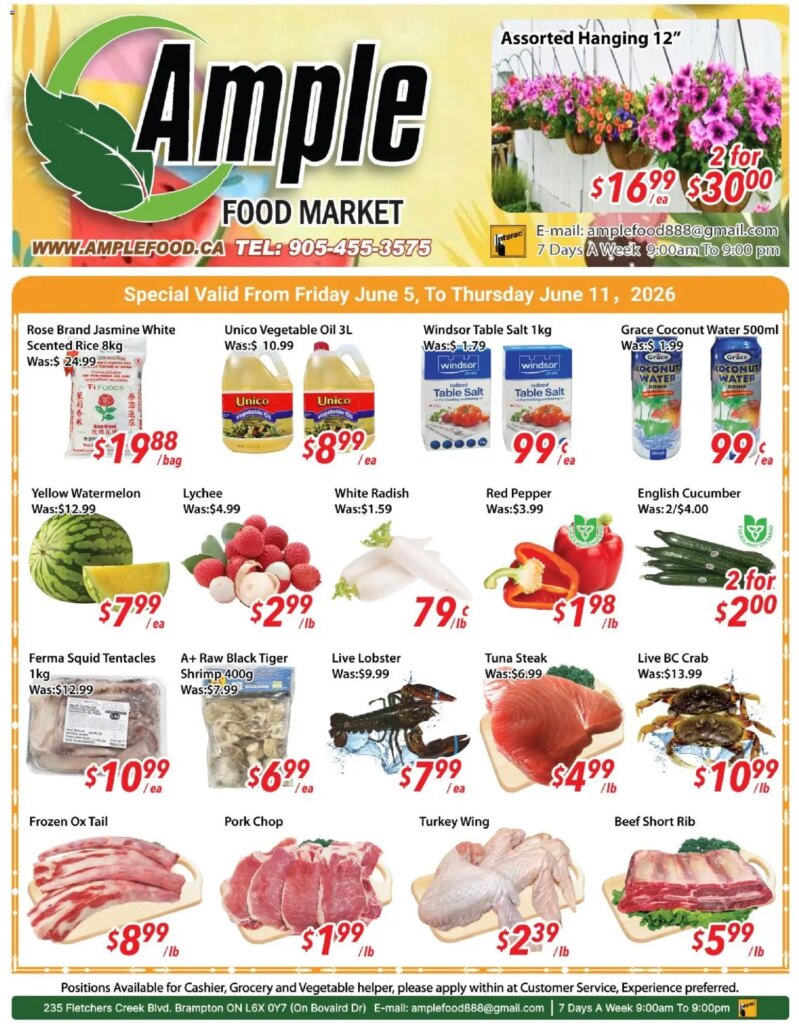 Ample Food Market Weekly Flyer Brampton | Specials This Week 5 June 2026