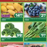 Weekend Specials at 99 Ranch Market June 5 to June 11 2026 – Shop Now!