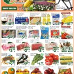 Ample Food Market Weekly Specials – 5 June 2026 Deals Await!