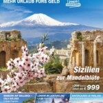 Norma Reisen: Special This Week from 01 June 2026 – Amazing Offers Await!