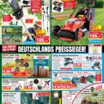 Norma Prospekt Deals Starting 08 June 2026 – Special This Week!