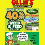 Ollie’s Ad This Week: Unbeatable Deals From June 9 to June 15 2026!