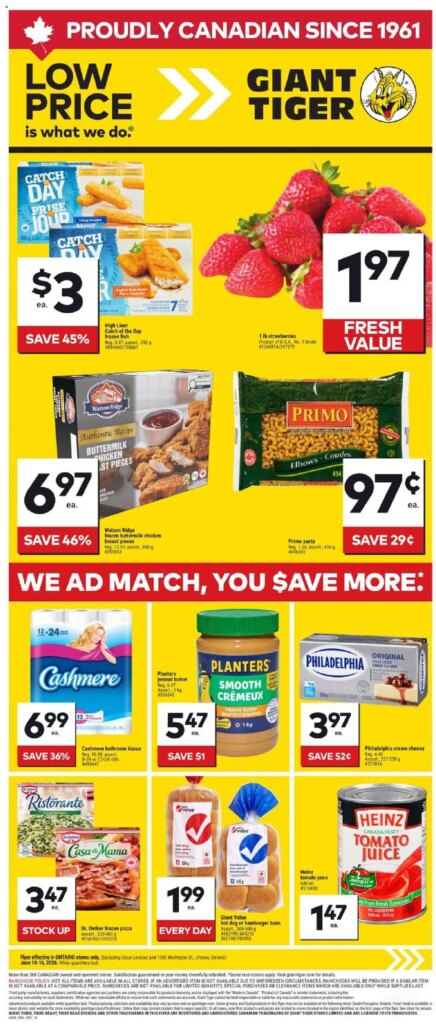 Giant Tiger weekly flyer: Specials This Week from 10 June 2026!