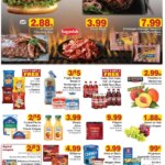 Piggly Wiggly Weekly Ad This Week: Hot Offers June 10 to June 16 2026