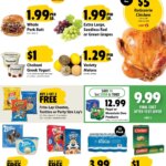 Get Exciting Deals in the Festival Foods Weekly Ad June 10 to June 16 2026!