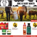 Winn Dixie In-Store Flyer Specials June 10 to June 23 2026 This Week