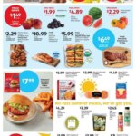Aldi Weekly Ad This Week: Exciting Offers June 10 to June 16 2026!