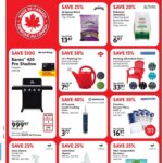Exciting Home Hardware Specials This Week: 11 June 2026 Deals Await!