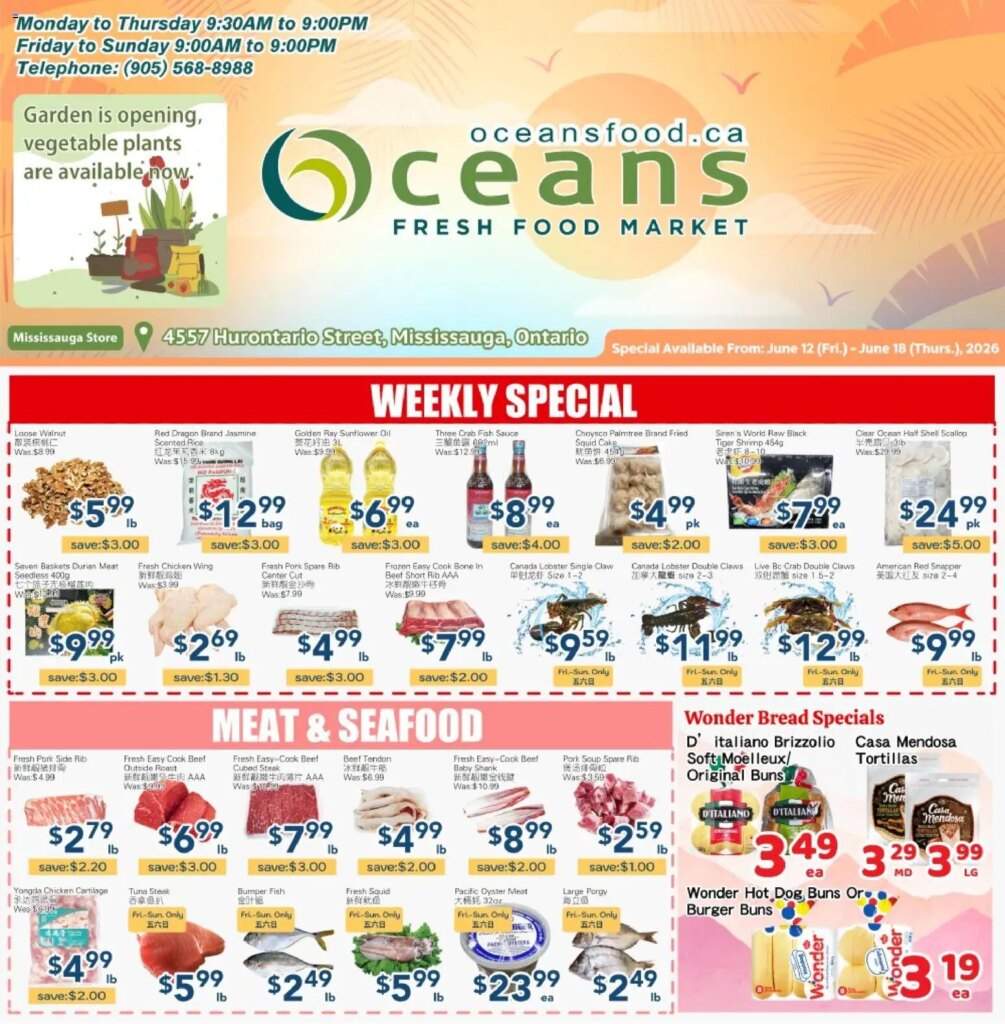 Oceans weekly flyer – Mississauga: Specials This Week from 12 June 2026