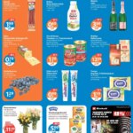 V-Markt München ab Montag: Specials This Week from 15 June 2026!