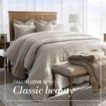 Volpes Fall in love with Classic beauty: Specials This Week, 15 June 2026