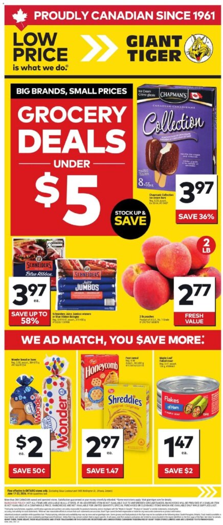 Giant Tiger weekly flyer: Unmissable Specials from 17 June 2026!