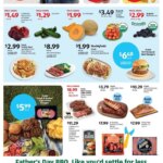 Aldi Weekly Ad This Week June 17 to June 23 2026 – Grab the Best Deals!