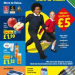 Exclusive Lidl Wales Offers This Week – Start Saving From 25 June 2026!